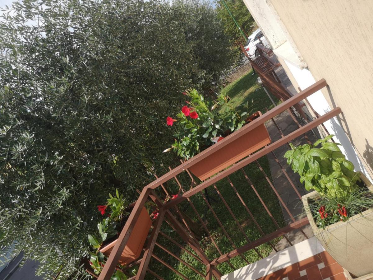 Ai Quattro Ulivi Apartment Peschiera del Garda Luaran gambar